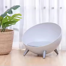 Lits et polymères pour animaux de compagnie, accent de style nordique, canapé confortable, fournitures pour chat, maison pour chat