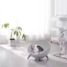 Lits et polymères pour animaux de compagnie, accent de style nordique, canapé confortable, fournitures pour chat, maison pour chat